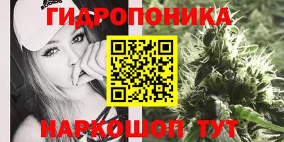 МДПВ Донецк
