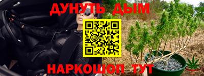 МДПВ Донецк