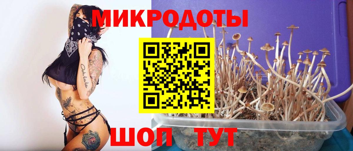 Галлюциногенные грибы прущие грибы Нижний Новгород